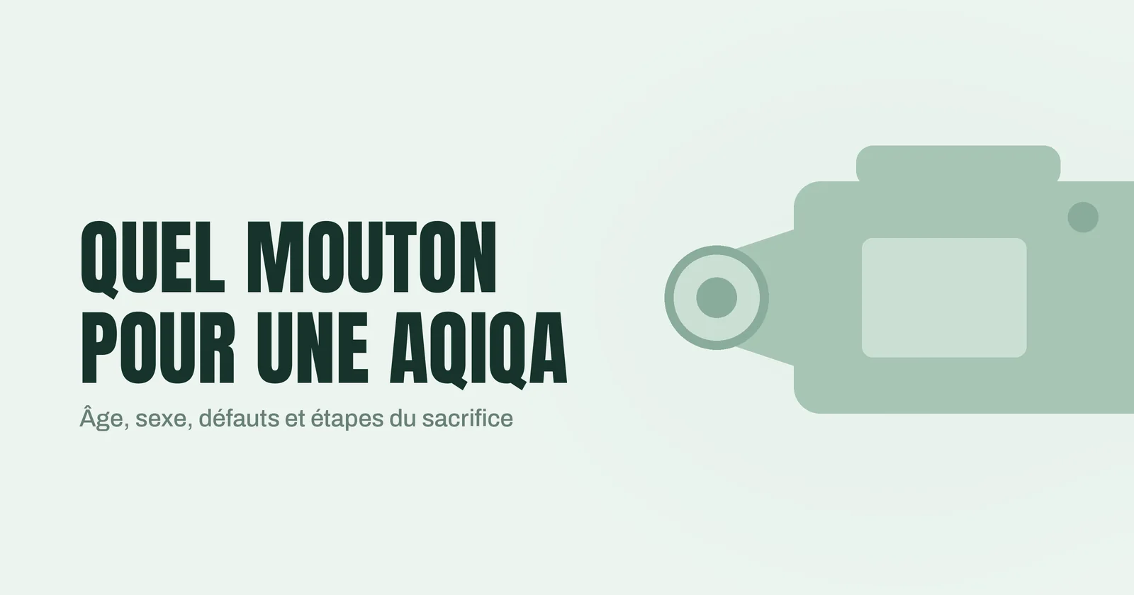 Quel mouton pour une aqiqa